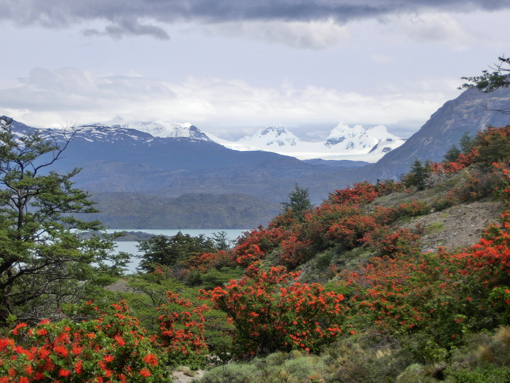 Trekking zum Refugio Los Cuernos