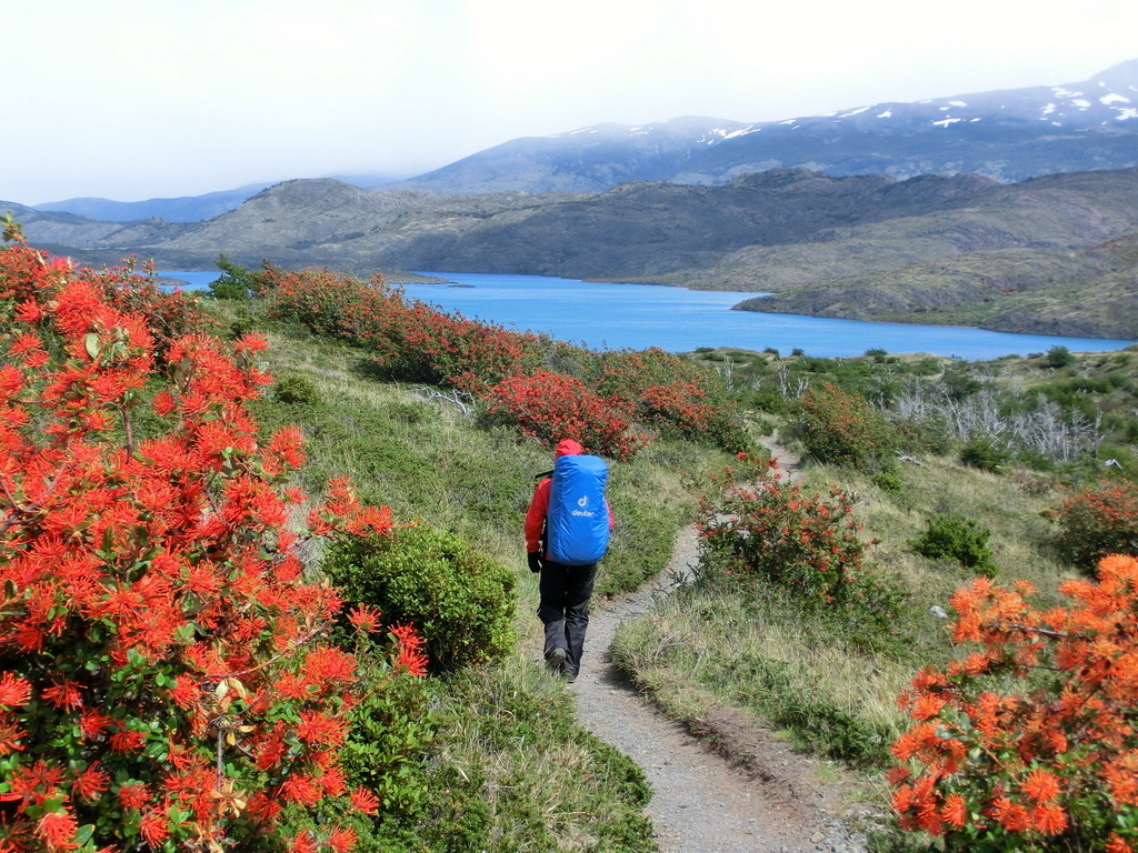 Letzte Etappe zur Paine Grande Lodge