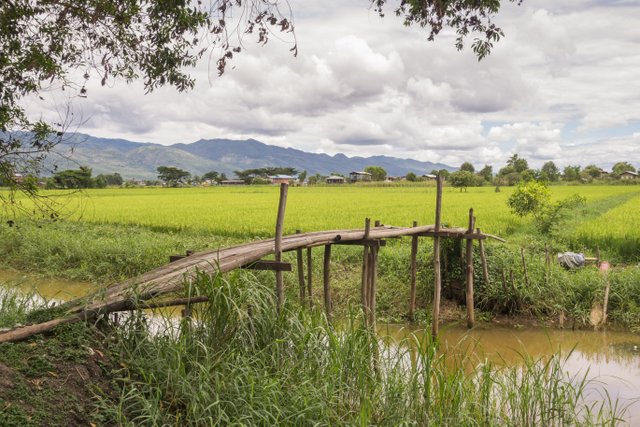 Myanmar Inle See Fahrradtour