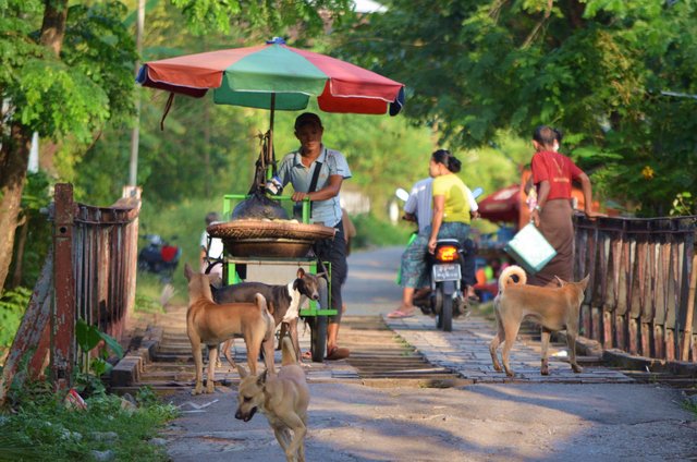 Myanmar Yangon Gemütliches Dorf Dala - fernab vom chaotischen Yangon