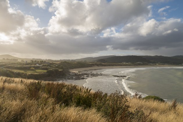 Neuseeland Campingplatz Roadtrip Curio Bay