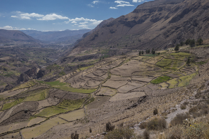 Colca Canyon