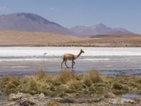 Meine Reiseroute durch Peru, Bolivien und Chile – inkl. einem Buchtipp für Peru