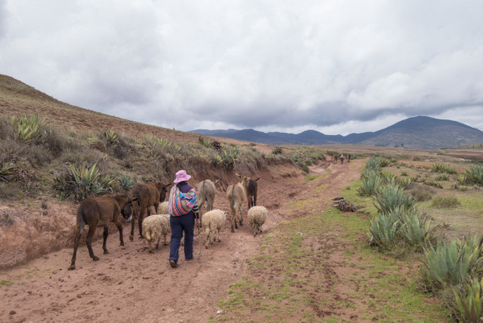 Trekking von Maras nach Moray