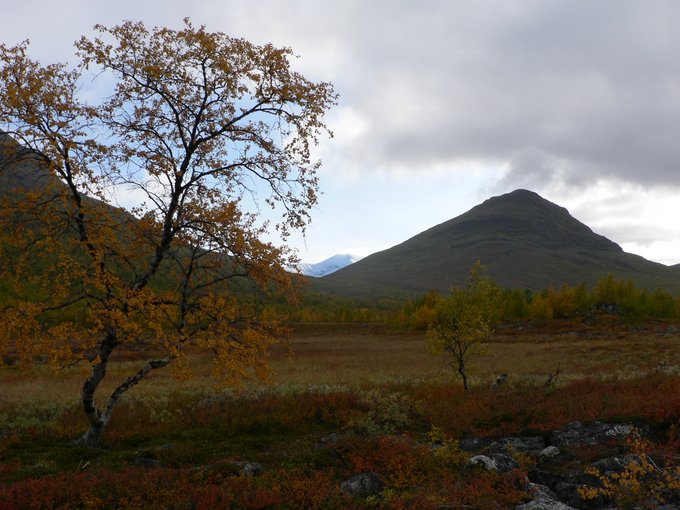 Outdoor Europa soschyontour-kungsleden Sonya