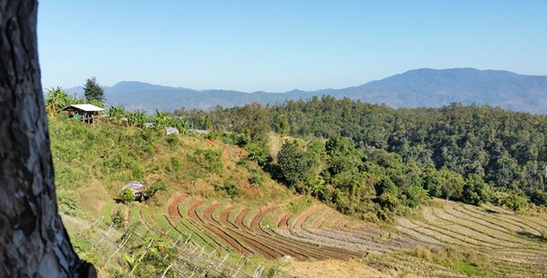 Aktivurlaub Thailand Wandern Reisterrassen