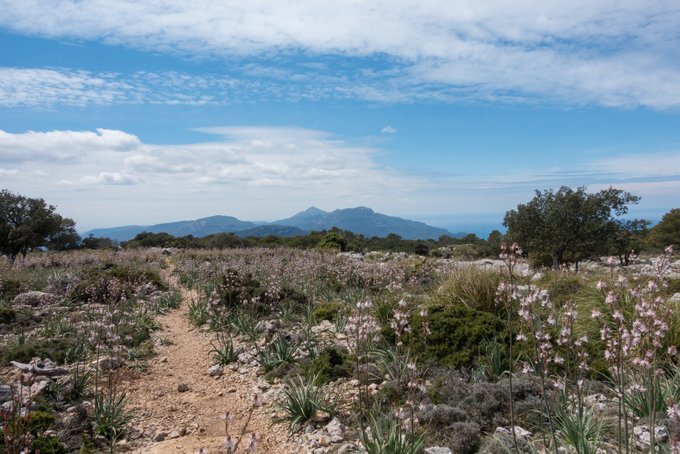 Wandern auf Mallorca Kleine Runde um Valdemossa