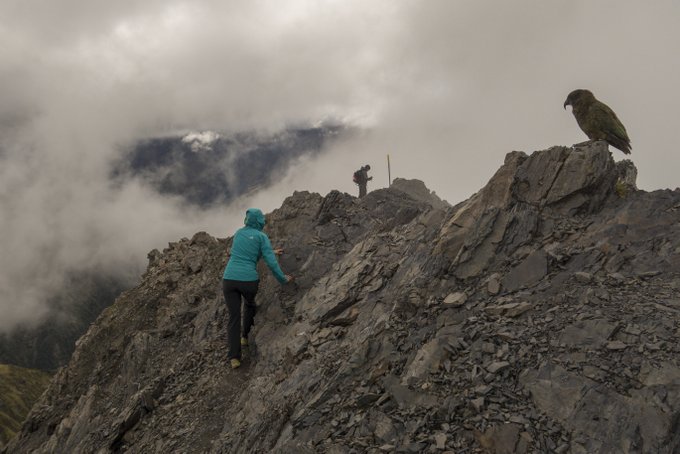 Schlechtes Wetter bei der Wanderung auf den Avalanche Peak