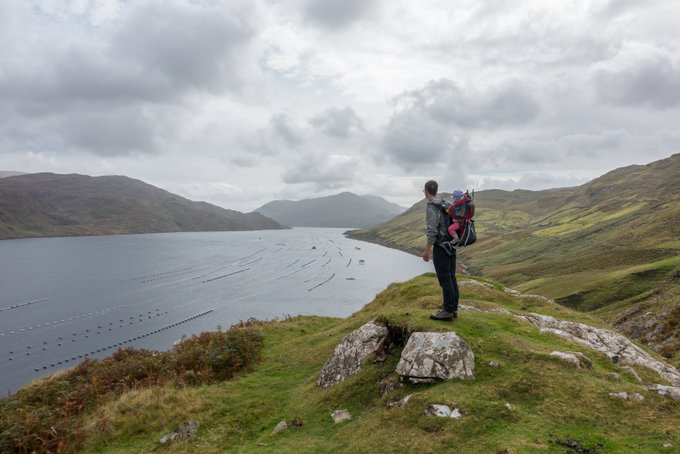 Wandern in Connemara Aussicht Killary Fjord