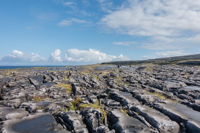 Roadtrip Irland The Burren