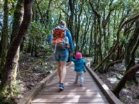 So ist das Wandern mit Kleinkind wirklich!
