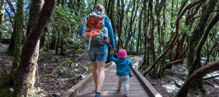 So ist das Wandern mit Kleinkind wirklich!