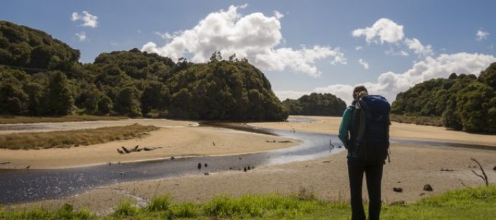 Neuseeland Reise: Deine Neuseeland Reiseplanung in 12 Schritten