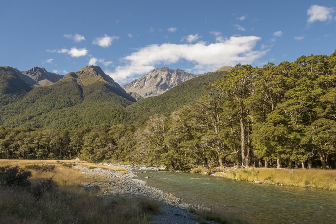 Wandern in Neuseeland Caples & Greenstone Track (3)