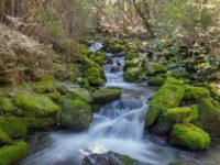 So fotografierst Du einen Wasserfall mit Schleier Effekt ohne Graufilter