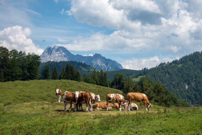 Wandern in Tirol Blick von der Angerlalm