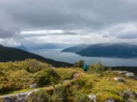 Wandern in Norwegen: Wanderung auf den Aussichtspunkt Kvitenjuk über dem Sognefjord