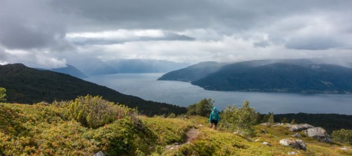 Wandern in Norwegen: Wanderung auf den Aussichtspunkt Kvitenjuk über dem Sognefjord