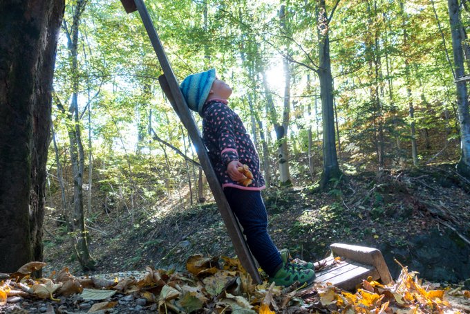 Wandern Bad Kohlgrub mit Kleinkind