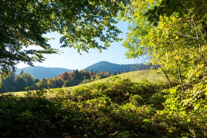 Wanderung Hörnle von Bad Kohlgrub