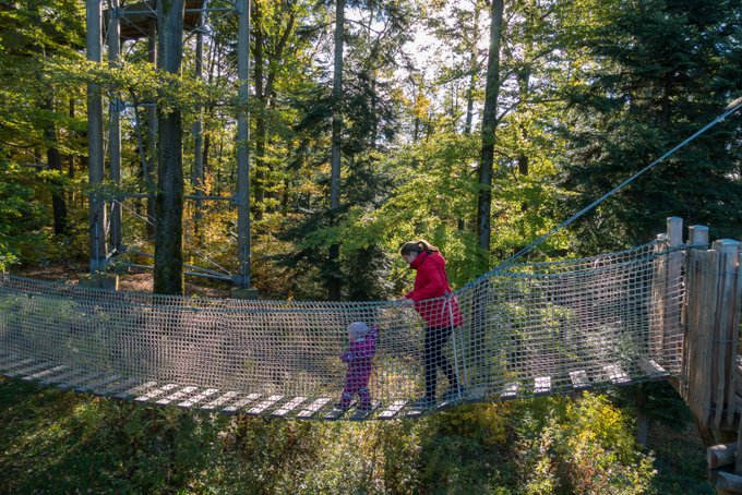 Abenteuerpfad Baumkronenweg Waldkirch