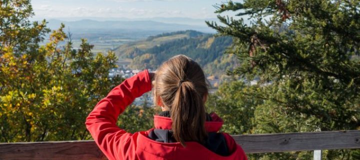 Wanderurlaub in Deutschland mit Kindern – Die schönsten Regionen zum Wandern mit Kindern