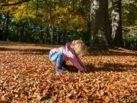 Wandern im Herbst mit Kindern – Meine Tipps und 3 Tourenvorschläge