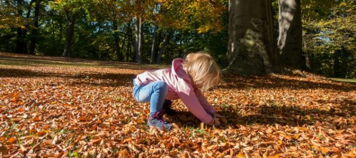 Wandern im Herbst mit Kindern – Meine Tipps und 3 Tourenvorschläge