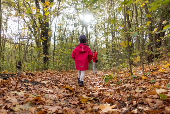 Wandern mit Kindern Herbstluft schnuppern