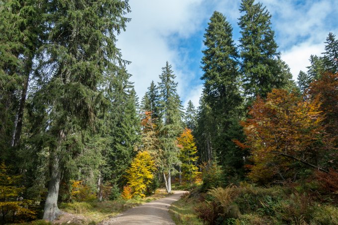 Wanderwege im Herbst mit Kindern