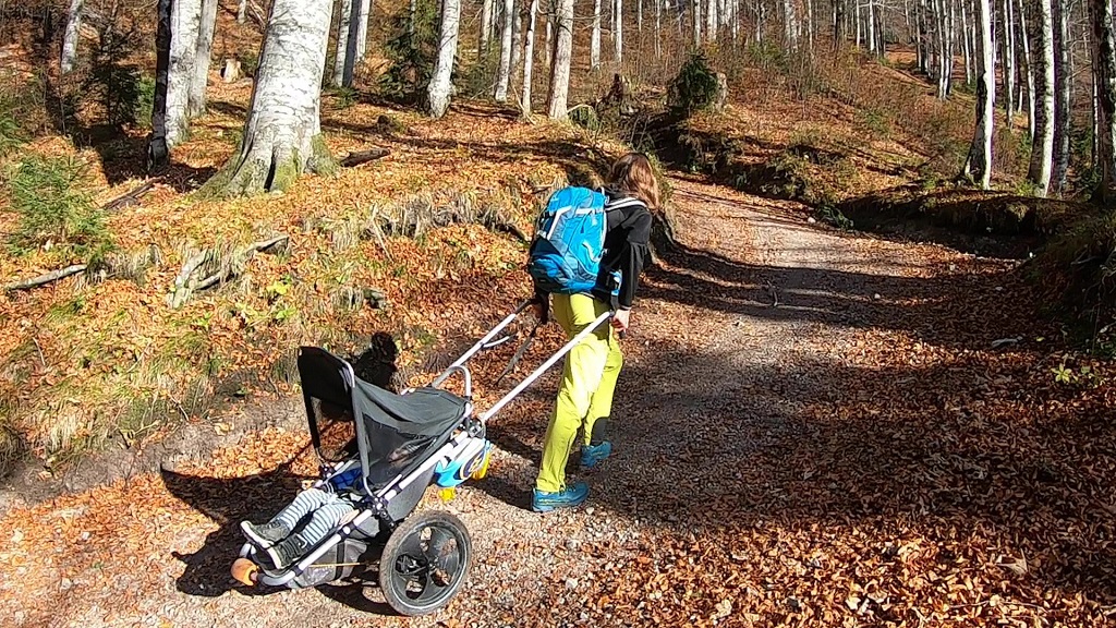 Offroad_Kinderwage_Hike_Kid_Steinbock_am_Berg