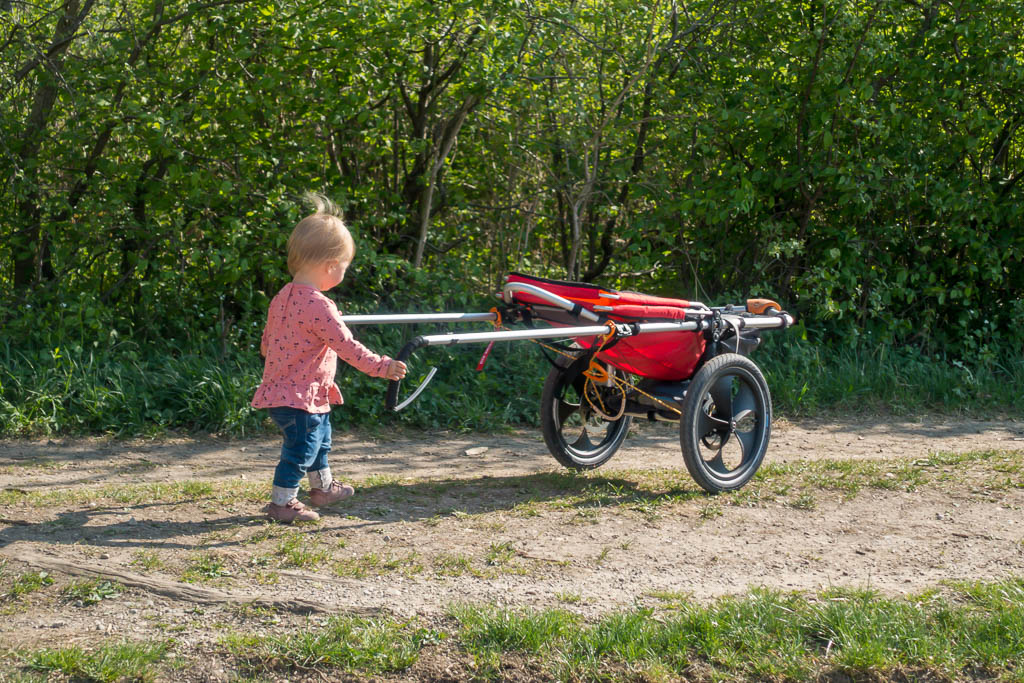 Raus mit Kind Outdoor Kinderwagen