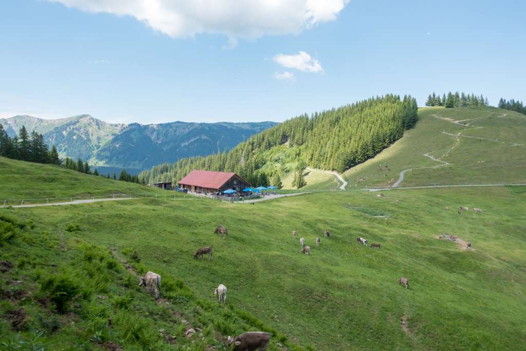 Allgäu Sommerurlaub Alpe Fahnengehren