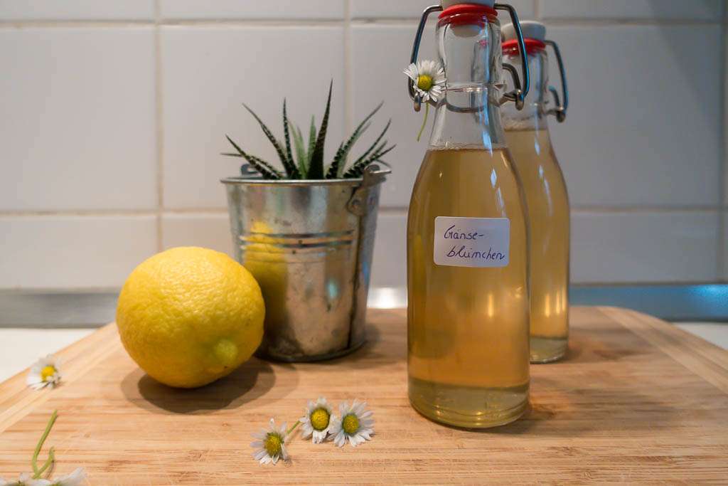 Gänseblümchen Sirup selbst machen - Rezept I