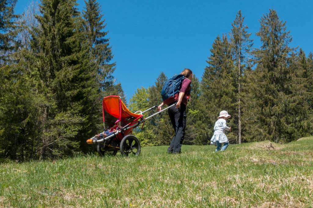 Kinderwagen Ziehen Hike Kid