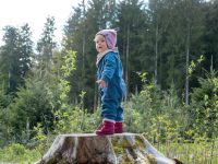 Waldbaden – Die besten Tipps für den etwas anderen Waldspaziergang mit Kindern