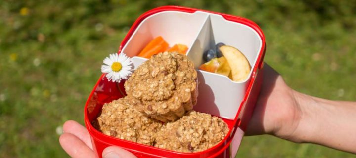 Wandersnacks für Babys und Kinder – 5 einfache und gesunde Rezepte