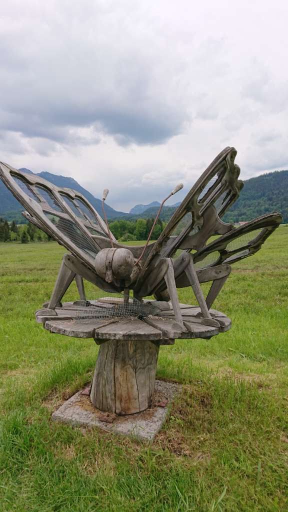 Moor-Erlebnis-Pfad Inzell