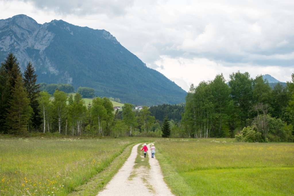 Wanderung Moor-Erlebnis-Pfad Chiemsee