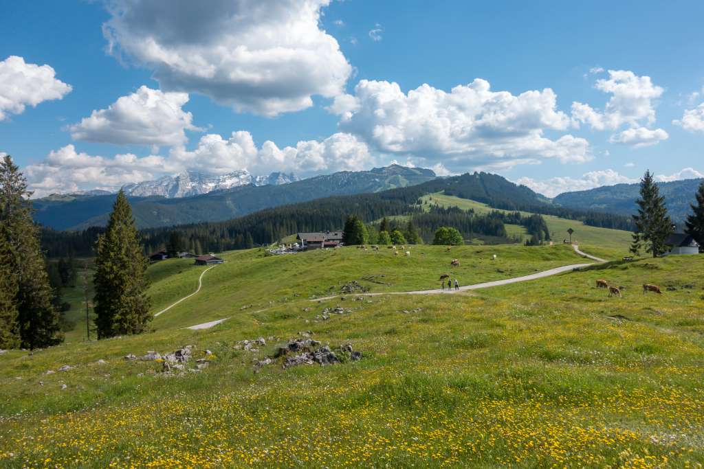 Winkelmoosalm Wandern mit Kindern