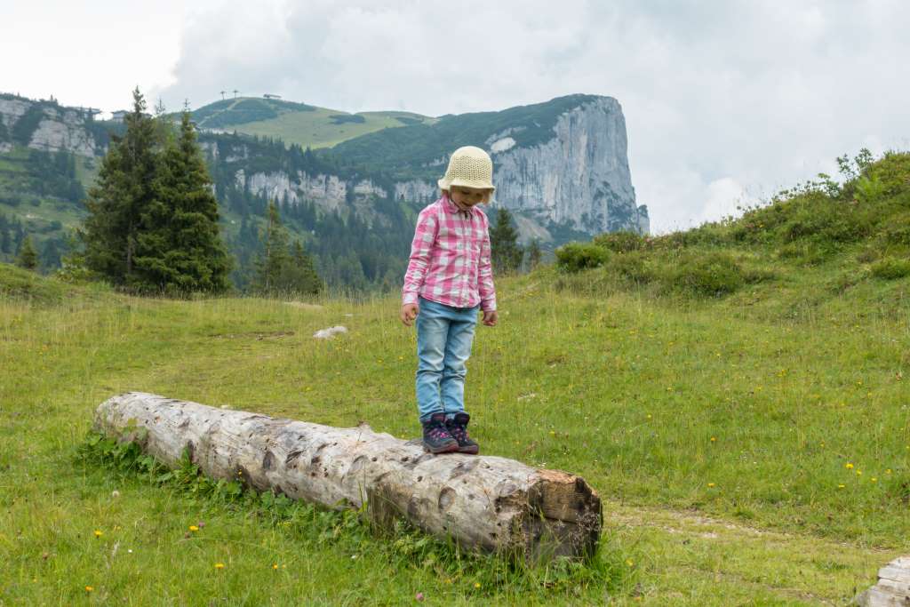 Balancieren auf dem Weg zum Straubinger Haus