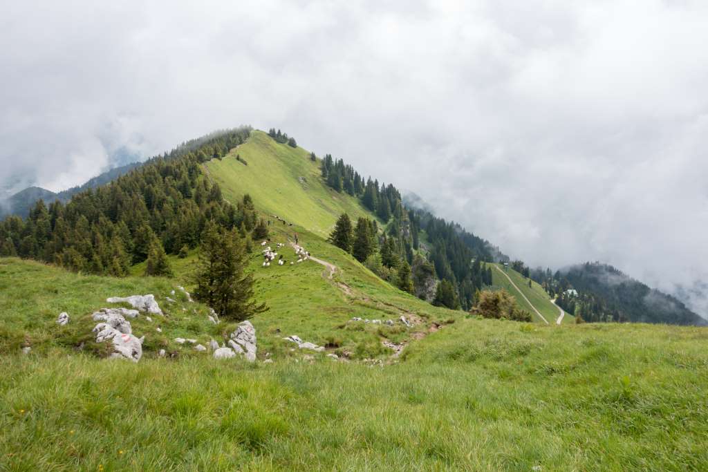 Brauneck Wandergebiet mit Kindern