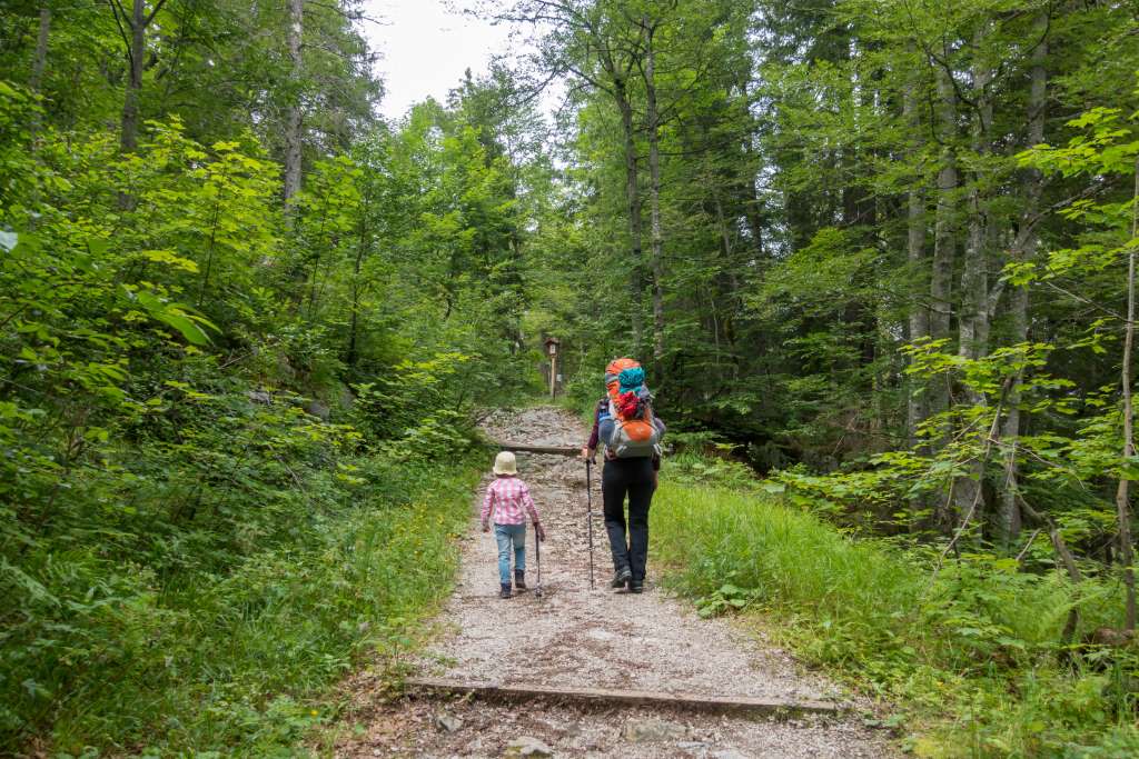 Los geht die Wanderung zum Straubinger Haus