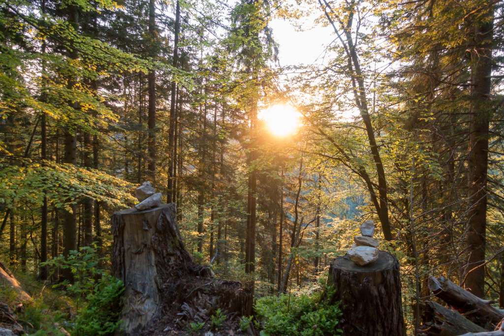 Urlaub zu Hause Waldbaden bei Sonnenuntergang