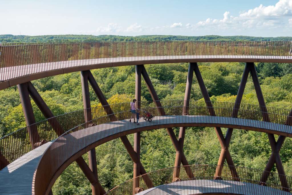 Aussicht Forest Tower Camp Adventure