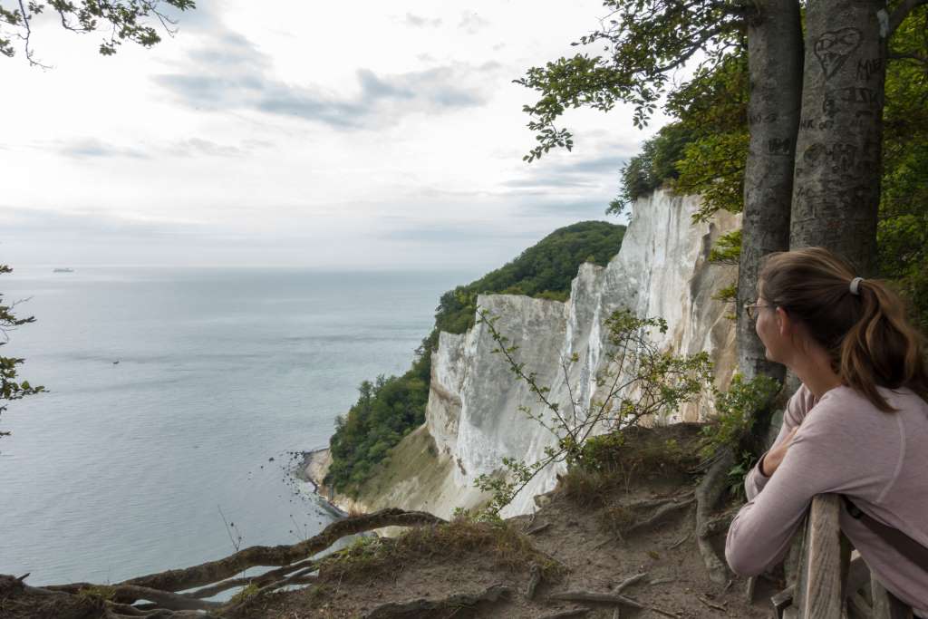 Aussicht auf die Møns Klint