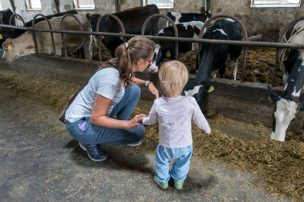 Møn Is Besuch Bauernhof