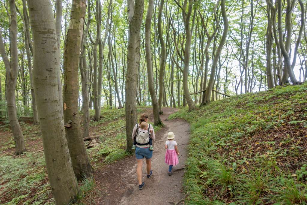 Møns Klint Dänemark mit Kindern