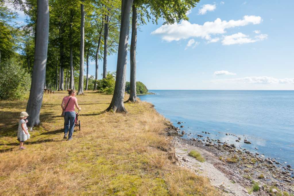 Wandern auf Falster