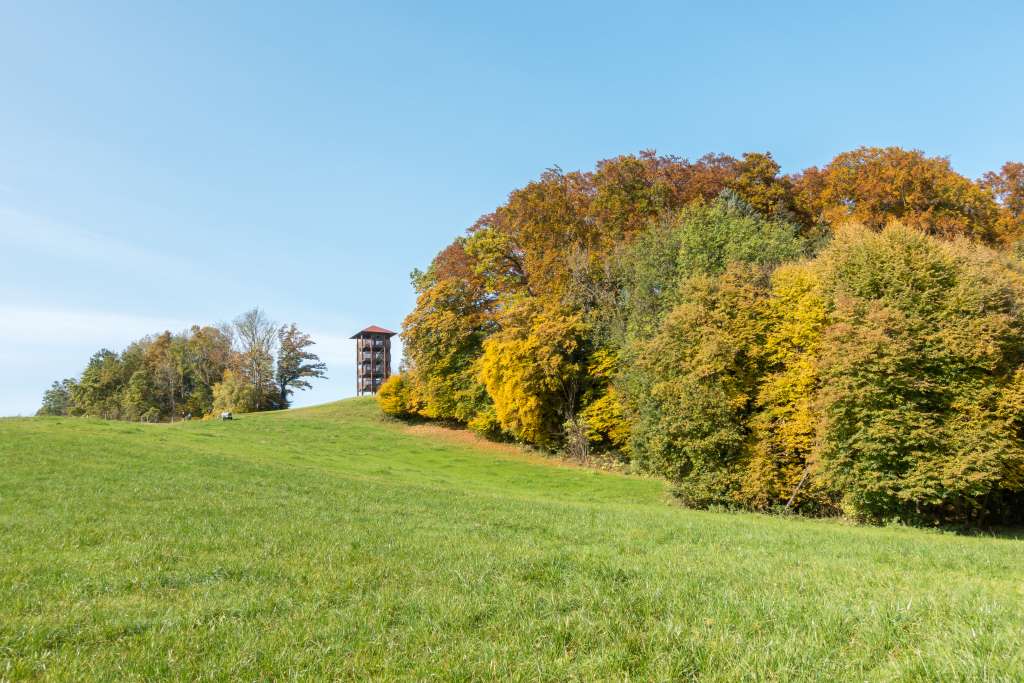 Aussichtsturm Ratzinger Höhe Herbst